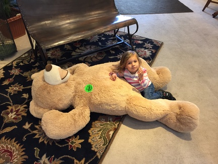 Greta attacking the bear at Good s Furniture6